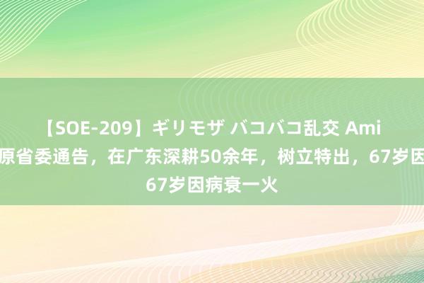 【SOE-209】ギリモザ バコバコ乱交 Ami 他是广东原省委通告，在广东深耕50余年，树立特出，67岁因病衰一火