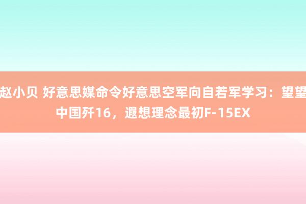 赵小贝 好意思媒命令好意思空军向自若军学习：望望中国歼16，遐想理念最初F-15EX