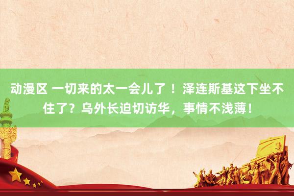 动漫区 一切来的太一会儿了 ！泽连斯基这下坐不住了？乌外长迫切访华，事情不浅薄！