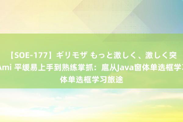 【SOE-177】ギリモザ もっと激しく、激しく突いて Ami 平缓易上手到熟练掌抓：扈从Java窗体单选框学习旅途