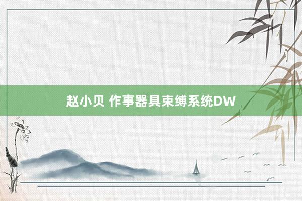 赵小贝 作事器具束缚系统DW