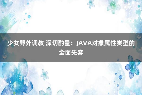 少女野外调教 深切酌量：JAVA对象属性类型的全面先容