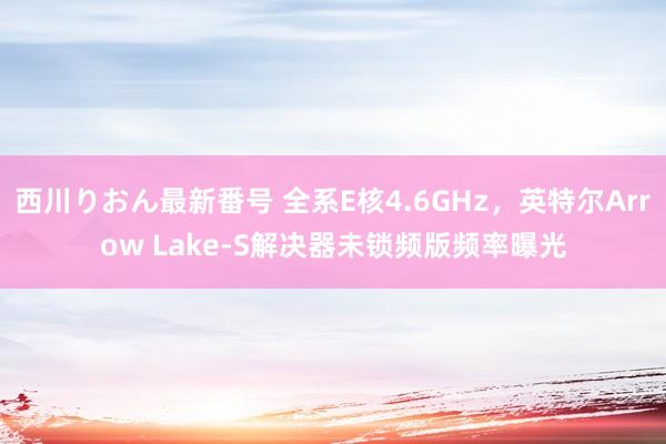 西川りおん最新番号 全系E核4.6GHz，英特尔Arrow Lake-S解决器未锁频版频率曝光