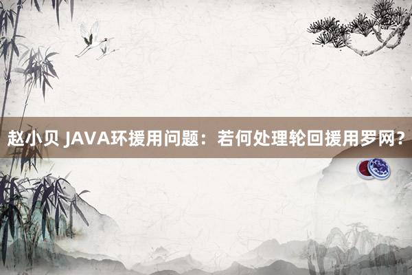 赵小贝 JAVA环援用问题：若何处理轮回援用罗网？