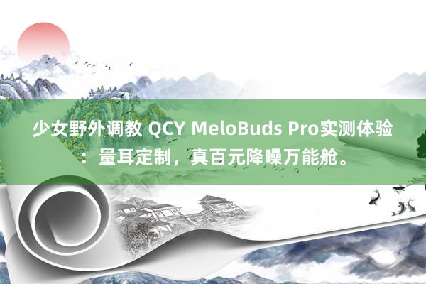 少女野外调教 QCY MeloBuds Pro实测体验：量耳定制，真百元降噪万能舱。