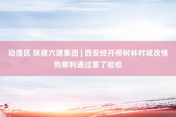 动漫区 陕建六建集团 | 西安经开柳树林村城改情势顺利通过罢了验收