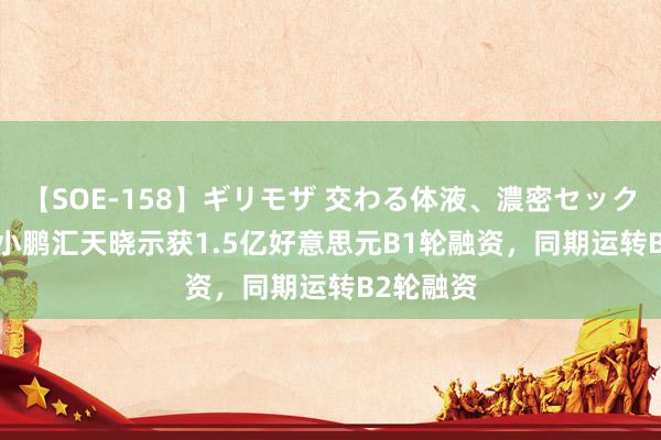 【SOE-158】ギリモザ 交わる体液、濃密セックス Ami 小鹏汇天晓示获1.5亿好意思元B1轮融资，同期运转B2轮融资