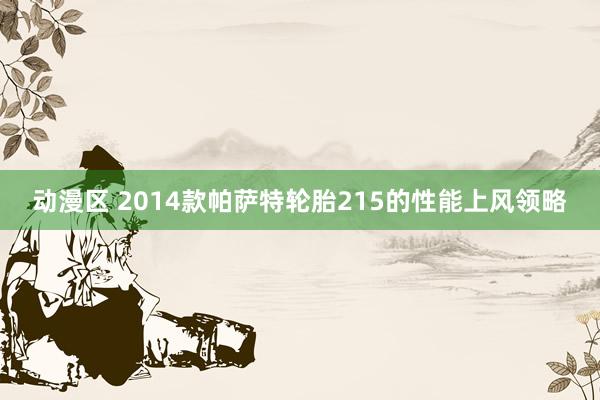 动漫区 2014款帕萨特轮胎215的性能上风领略