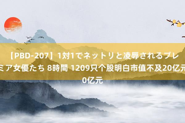 【PBD-207】1対1でネットリと凌辱されるプレミア女優たち 8時間 1209只个股明白市值不及20亿元