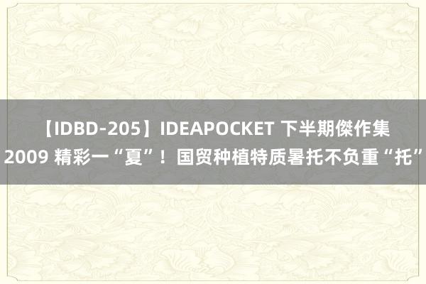 【IDBD-205】IDEAPOCKET 下半期傑作集2009 精彩一“夏”！国贸种植特质暑托不负重“托”