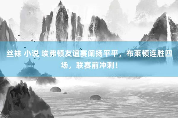 丝袜 小说 埃弗顿友谊赛阐扬平平，布莱顿连胜四场，联赛前冲刺！