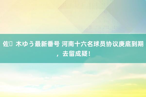 佐々木ゆう最新番号 河南十六名球员协议庚底到期，去留成疑！