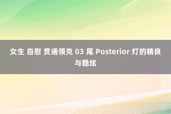 女生 自慰 贯通领克 03 尾 Posterior 灯的精良与酷炫