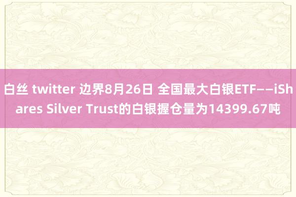 白丝 twitter 边界8月26日 全国最大白银ETF——iShares Silver Trust的白银握仓量为14399.67吨