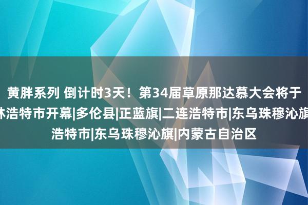 黄胖系列 倒计时3天！第34届草原那达慕大会将于7月14日在锡林浩特市开幕|多伦县|正蓝旗|二连浩特市|东乌珠穆沁旗|内蒙古自治区